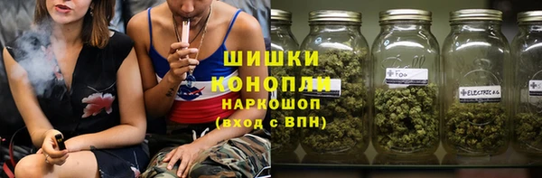 apvp Гатчина
