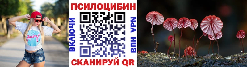 МЕГА как зайти Горбатов Псилоцибиновые грибы Magic Shrooms где продают